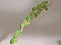 Camaleones calyptratus recién nacidos dispuestos a dormir.